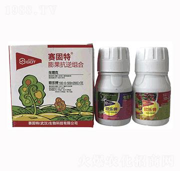 �������M�����b-������+�W���-ِ����