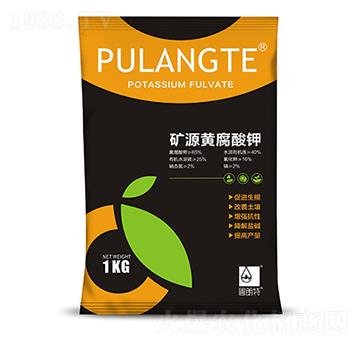 �VԴ�S�����-������