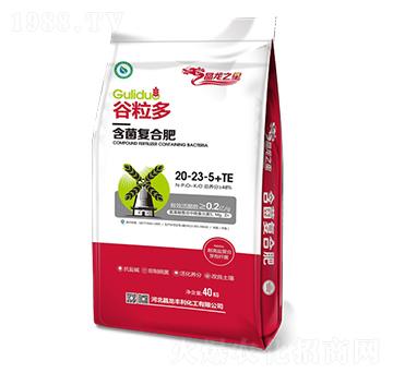 ������(f��)�Ϸ�20-23-5+TE-������-����