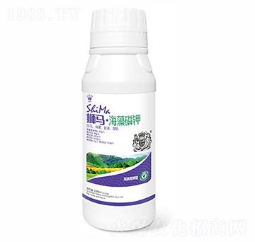 �������1000ml-�{�R�ʘI(y��)