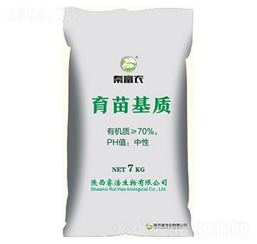 ������|(zh��)-�ظ��r(n��ng)-�