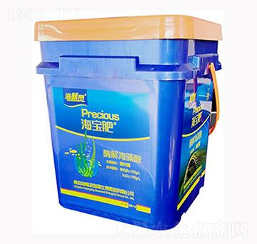 ø�⺣����-������-�L�`