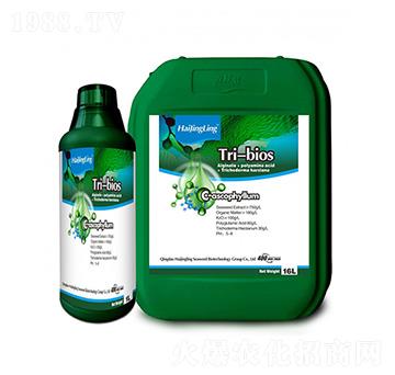 TRI-BIOSҺ�w��