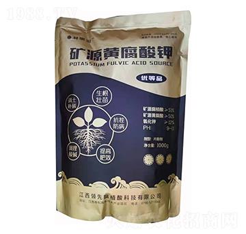 �VԴ�S�����