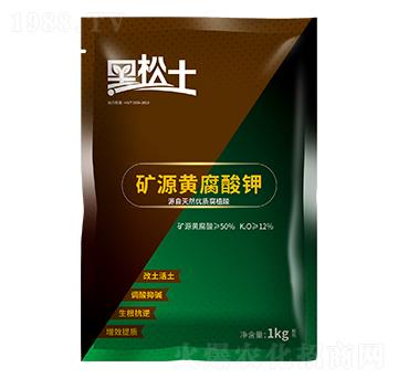 �VԴ�S�����-������-�r��ʘI(y��)