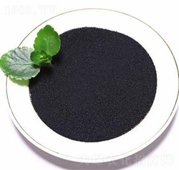 �S����⛢���-���B��