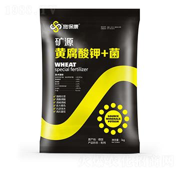 �VԴ�S�����+��-ʩ����