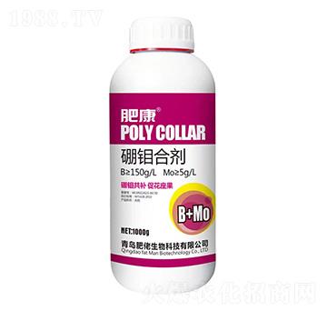 ���f�τ�-�ʿ�-������