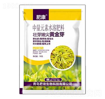 ����Ԫ��ˮ�ܷ���-��ѿ