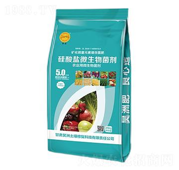 �����}΢�������-��������ޏ�