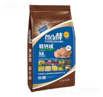 ��͹��-��������ޏ�