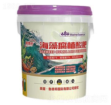 ���帯ֲ���-��?sh��)°? />
                                </div>
                            </div>
                            
                            <style type=