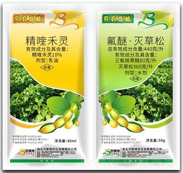 ��୺��`+���ѡ������