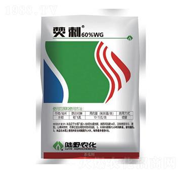 60%ϩड�߻�x(ch��ng)��-�ٴ�-�Ұ�r(n��ng)��