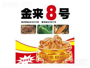 金來(lái)8號(hào)-合豐種業(yè)