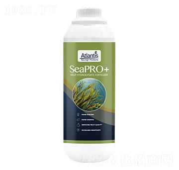 海藻·原液-藍(lán)鉑森